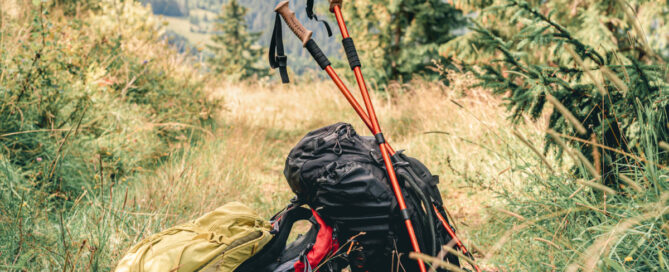 Trekking - Dodital Trek