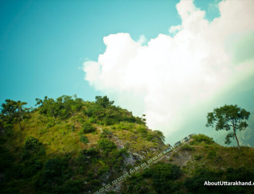 Amazing Pindari Glacier Trek