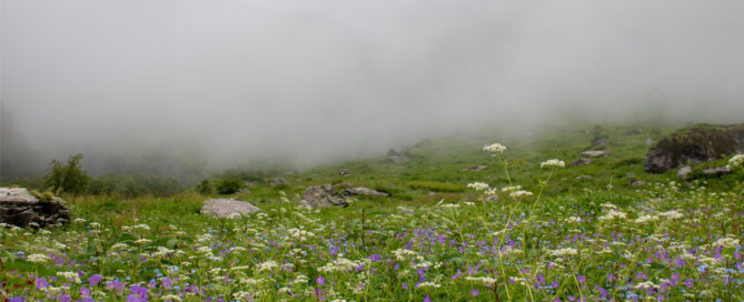 Trekking - Valley Of Flower Trek