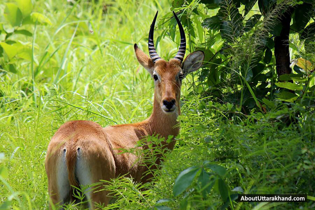 Wildlife Sanctuary