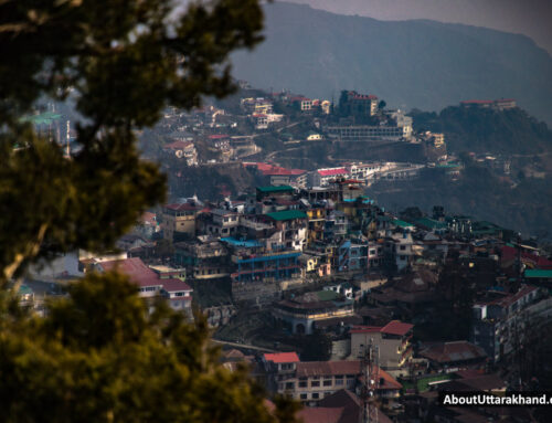 Dhanaulti