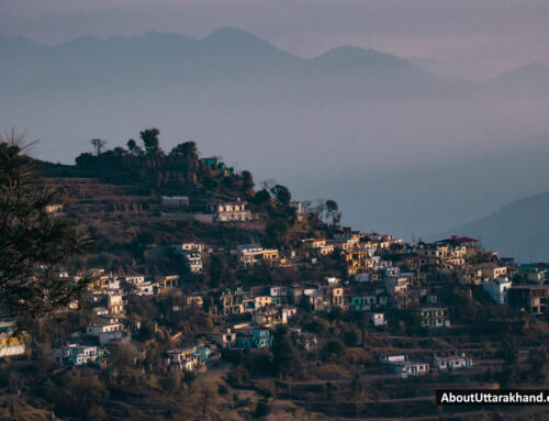 Ranikhet