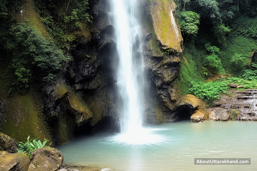 Tiger Fall